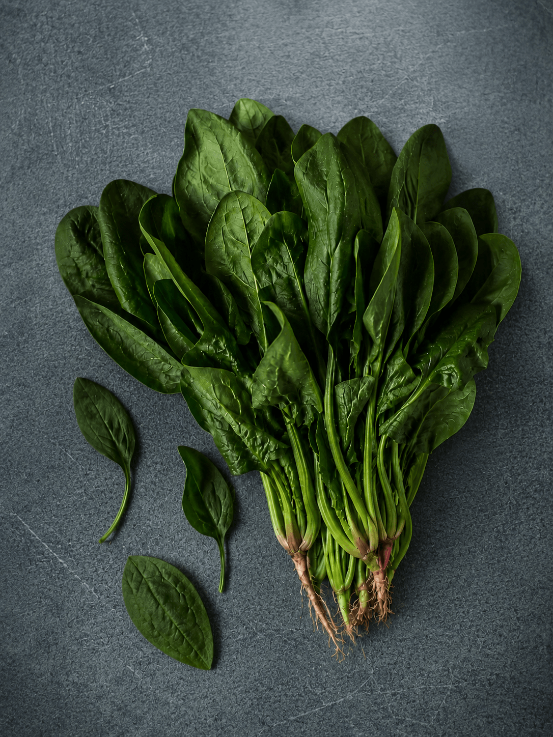 Espinaca fresca de huerta